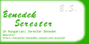 benedek serester business card